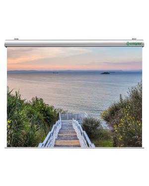 Schermo elettrico videoproiezione Rubin 350x350