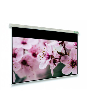 190x119 cm 16:10 Telo per videoproiettore Electric Professional bordato