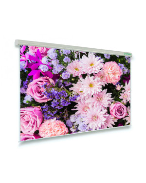 200x200 schermo videoproiettore motorizzato Professional