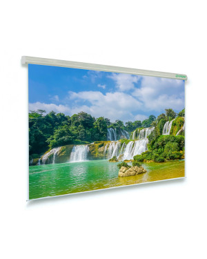 250x140 Schermo per videoproiezione motorizzato Professional 16:9
