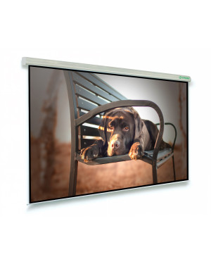 170x170 cm Schermo Elettrico Professional bordato