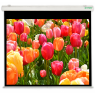 160x100 Schermo per proiettori elettrico New Gold Nema 16:10