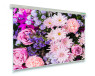 Schermo proiezione Sopar Professional 5220 220x220