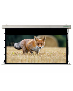 335x209 Schermo elettrico per proiezione Tensionato TAURUS 16:10