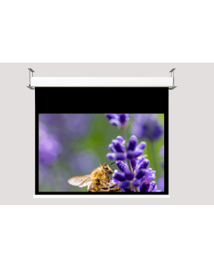 190x142 Telo per proiettori da incasso bordato Screenline Inceiling 4:3