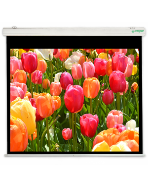 160x100 Schermo per proiettori elettrico New Gold Nema 16:10