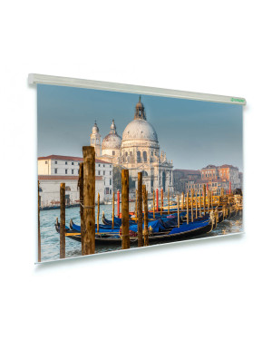 250x190 Schermo per proiettori motorizzato Professional 4:3
