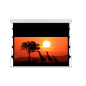 183X114 Schermo per videoproiettore tensionato wave 16:10 Screenline