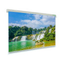 Schermo elettrico per proiezione 300x169 16:9 - Professional