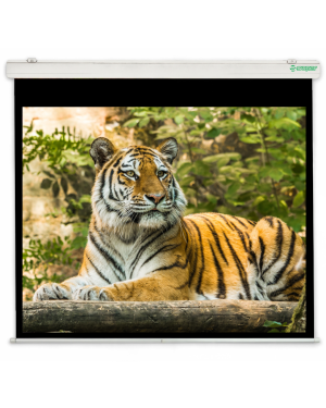 Schermo per la videoproiezione elettrico New Gold Nema